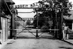 W obozie koncentracyjnym Auschwitz-Birkenau zginęło niemal milion Żydów